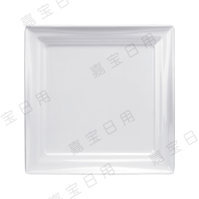 B501 ?8″方碟
